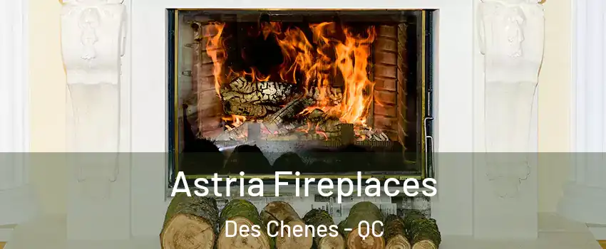  Astria Fireplaces Des Chenes - QC