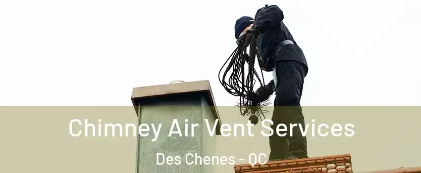  Chimney Air Vent Services Des Chenes - QC