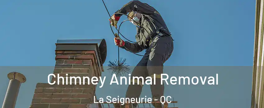 Chimney Animal Removal La Seigneurie - QC