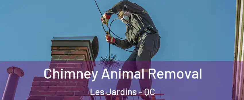 Chimney Animal Removal Les Jardins - QC