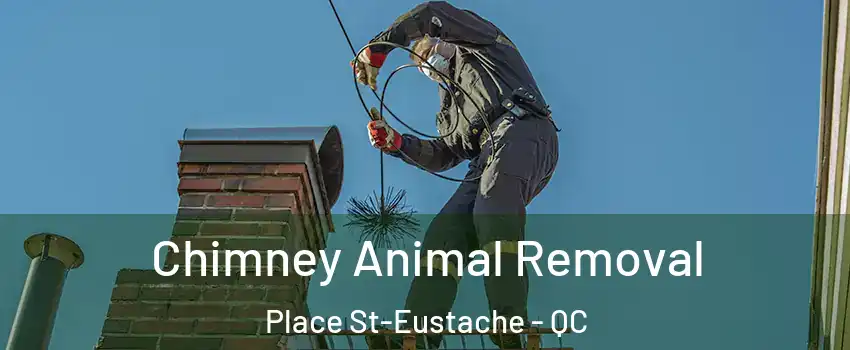  Chimney Animal Removal Place St-Eustache - QC