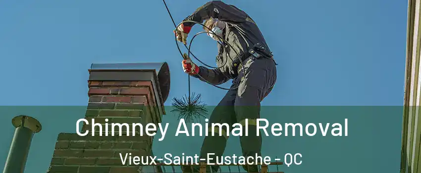 Chimney Animal Removal Vieux-Saint-Eustache - QC