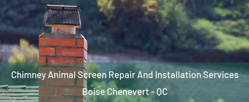  Chimney Animal Screen Repair And Installation Services Boise Chenevert - QC