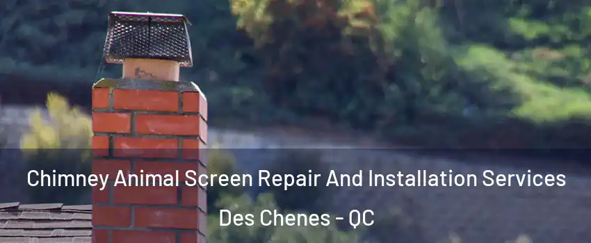  Chimney Animal Screen Repair And Installation Services Des Chenes - QC