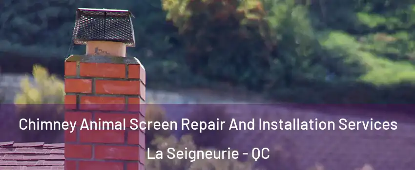 Chimney Animal Screen Repair And Installation Services La Seigneurie - QC