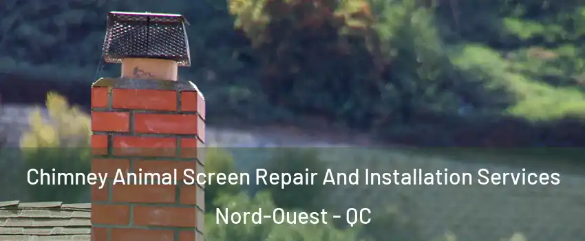  Chimney Animal Screen Repair And Installation Services Nord-Ouest - QC