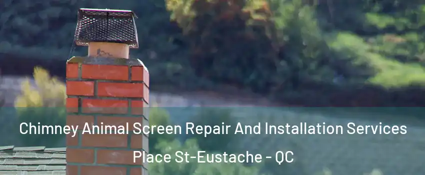  Chimney Animal Screen Repair And Installation Services Place St-Eustache - QC