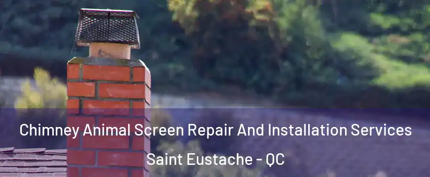  Chimney Animal Screen Repair And Installation Services Saint Eustache - QC