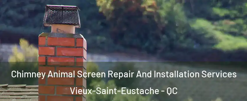  Chimney Animal Screen Repair And Installation Services Vieux-Saint-Eustache - QC