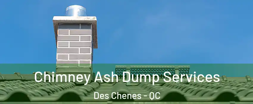  Chimney Ash Dump Services Des Chenes - QC