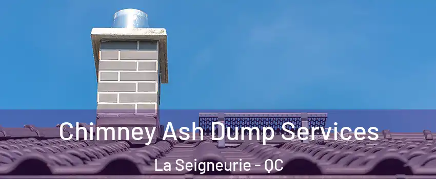  Chimney Ash Dump Services La Seigneurie - QC