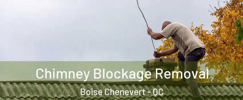  Chimney Blockage Removal Boise Chenevert - QC