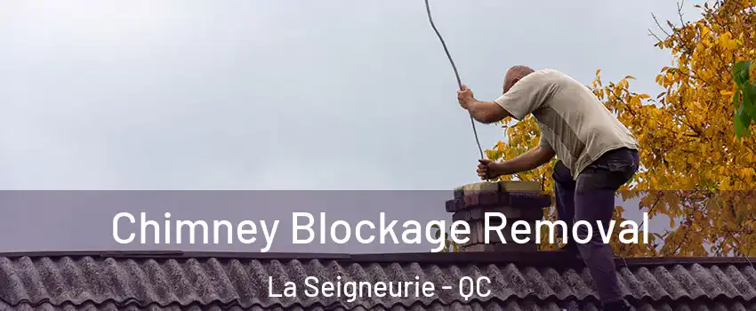  Chimney Blockage Removal La Seigneurie - QC