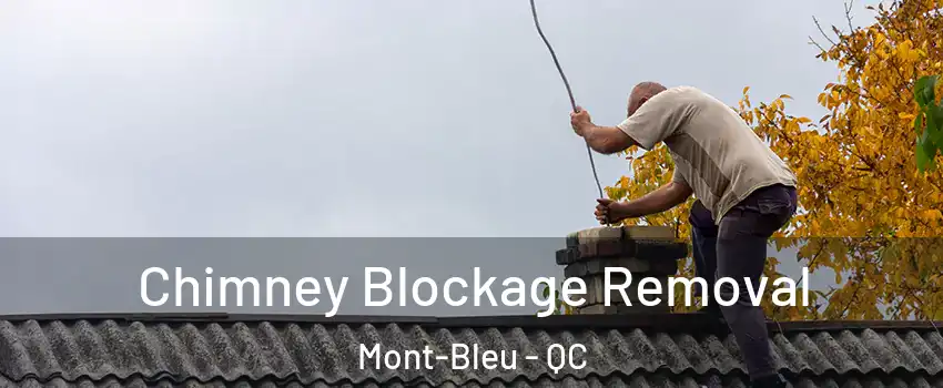  Chimney Blockage Removal Mont-Bleu - QC