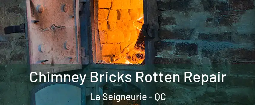  Chimney Bricks Rotten Repair La Seigneurie - QC