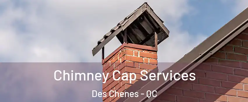  Chimney Cap Services Des Chenes - QC