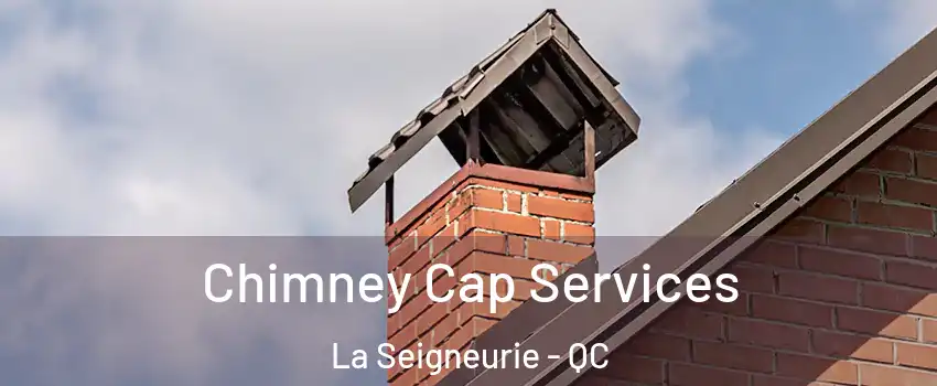  Chimney Cap Services La Seigneurie - QC