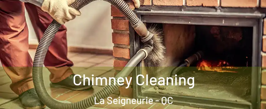  Chimney Cleaning La Seigneurie - QC