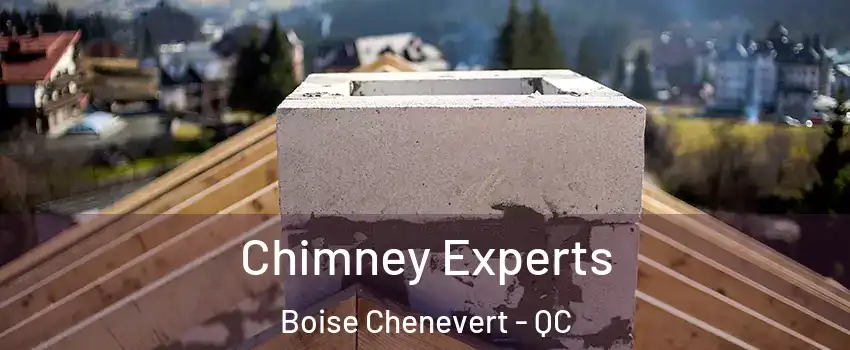 Chimney Experts Boise Chenevert - QC