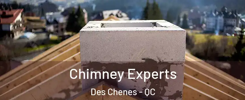 Chimney Experts Des Chenes - QC