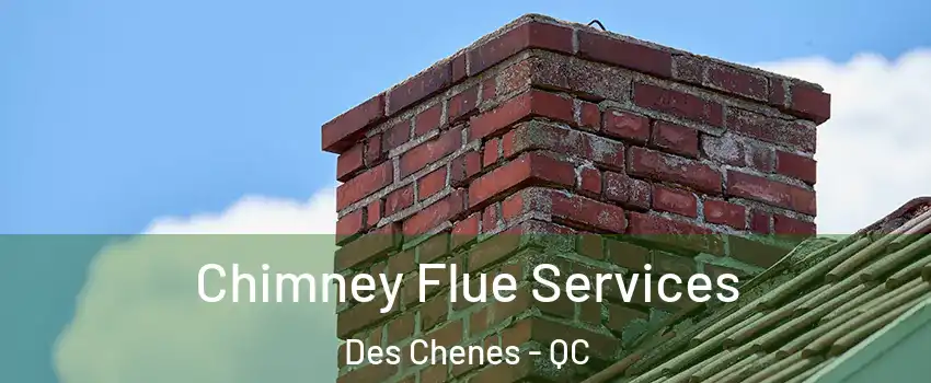  Chimney Flue Services Des Chenes - QC