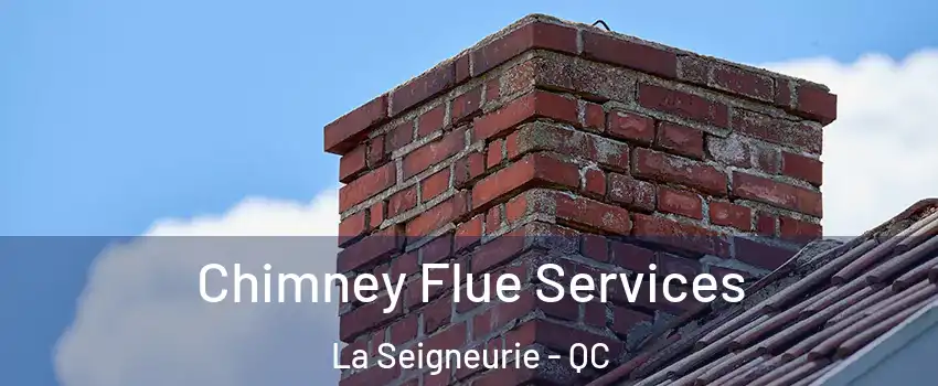  Chimney Flue Services La Seigneurie - QC