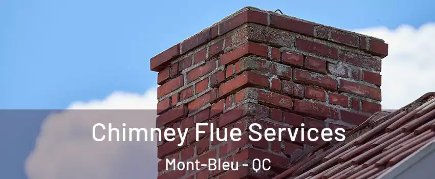  Chimney Flue Services Mont-Bleu - QC
