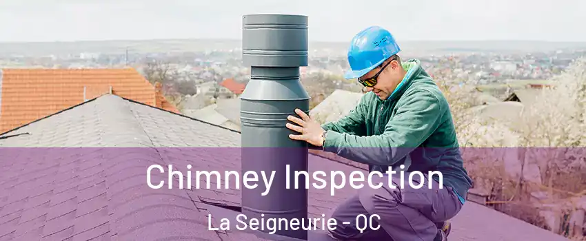  Chimney Inspection La Seigneurie - QC