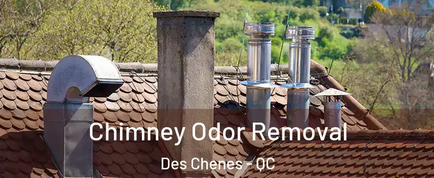  Chimney Odor Removal Des Chenes - QC