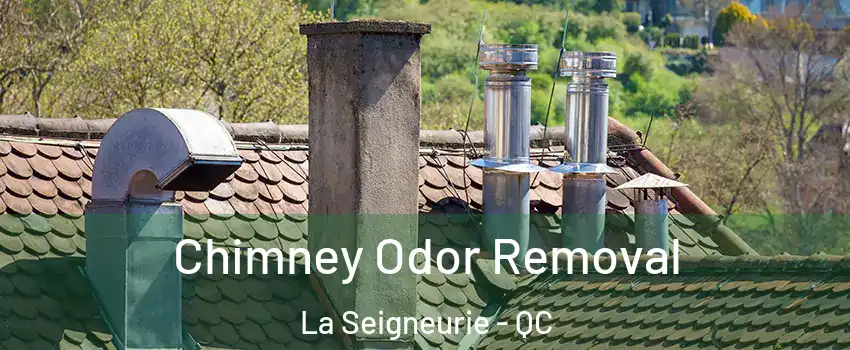  Chimney Odor Removal La Seigneurie - QC