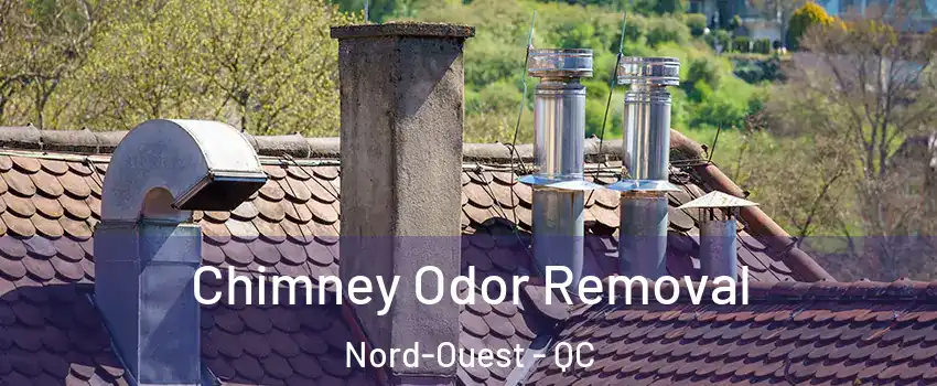  Chimney Odor Removal Nord-Ouest - QC