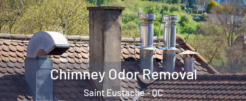  Chimney Odor Removal Saint Eustache - QC