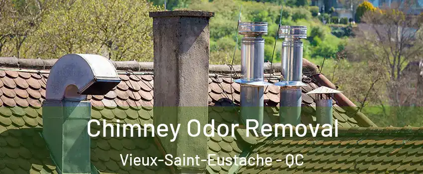  Chimney Odor Removal Vieux-Saint-Eustache - QC