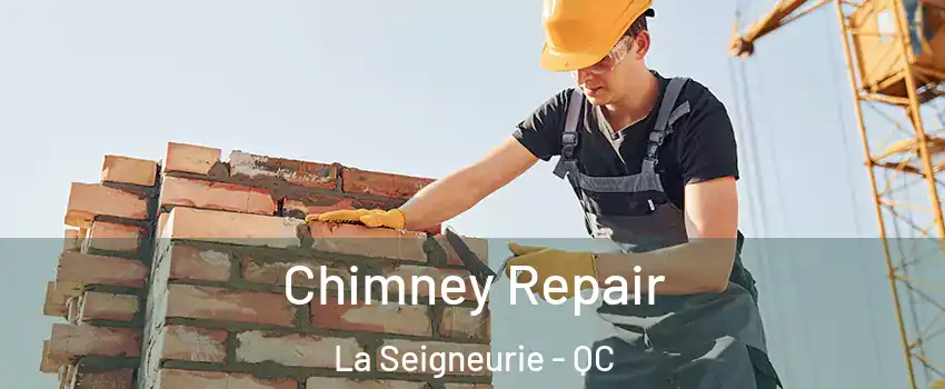  Chimney Repair La Seigneurie - QC