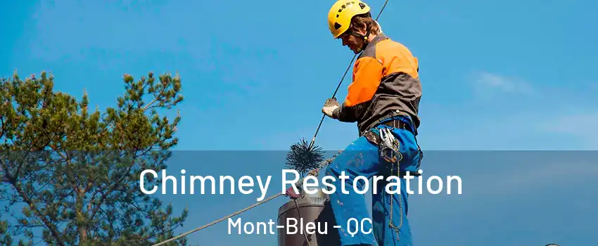  Chimney Restoration Mont-Bleu - QC