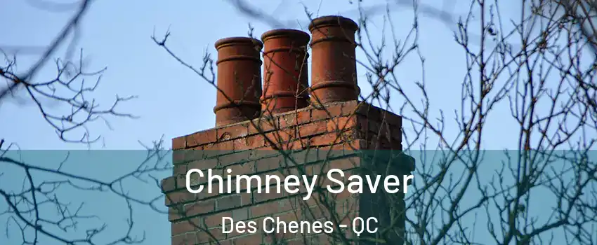  Chimney Saver Des Chenes - QC