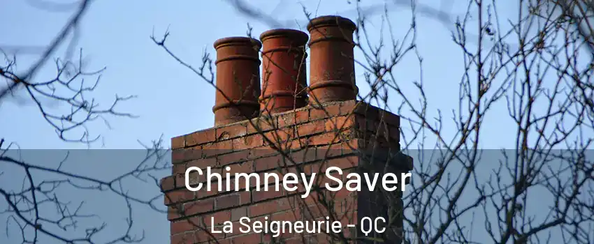  Chimney Saver La Seigneurie - QC