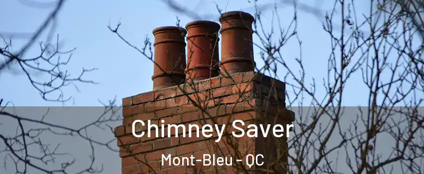  Chimney Saver Mont-Bleu - QC