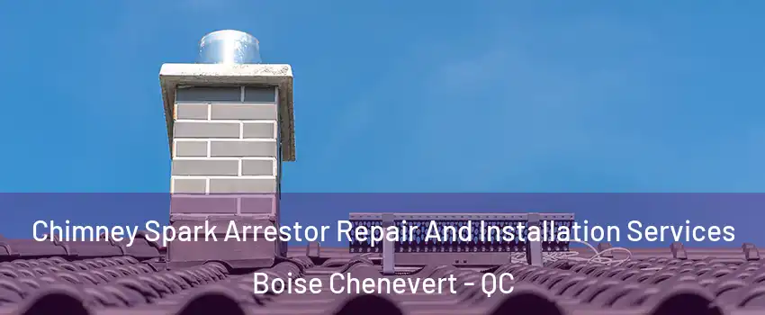  Chimney Spark Arrestor Repair And Installation Services Boise Chenevert - QC