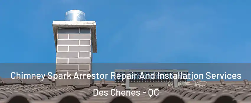  Chimney Spark Arrestor Repair And Installation Services Des Chenes - QC
