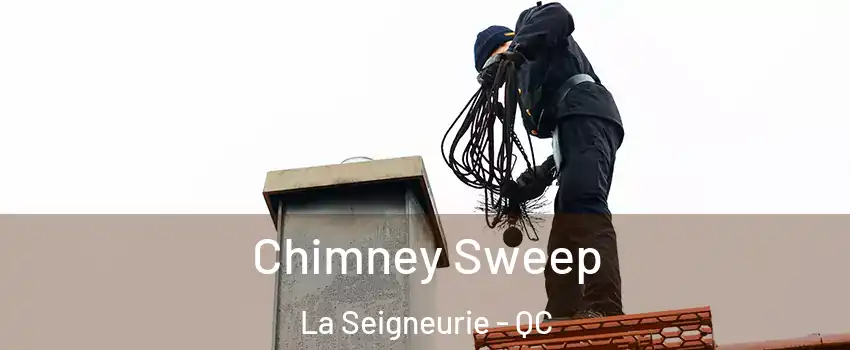  Chimney Sweep La Seigneurie - QC