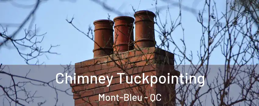  Chimney Tuckpointing Mont-Bleu - QC