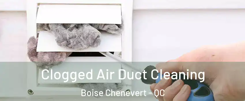  Clogged Air Duct Cleaning Boise Chenevert - QC