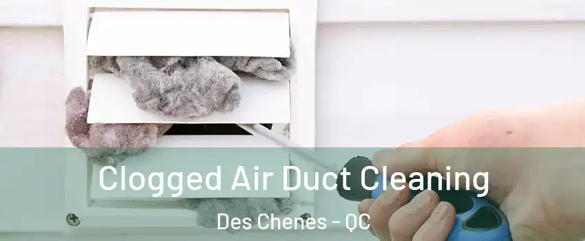  Clogged Air Duct Cleaning Des Chenes - QC