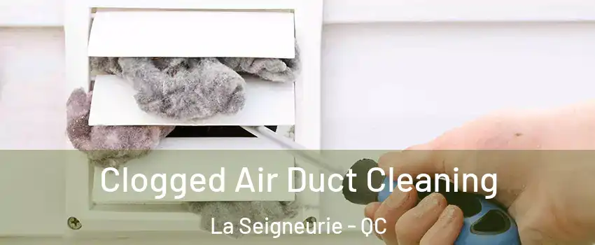  Clogged Air Duct Cleaning La Seigneurie - QC
