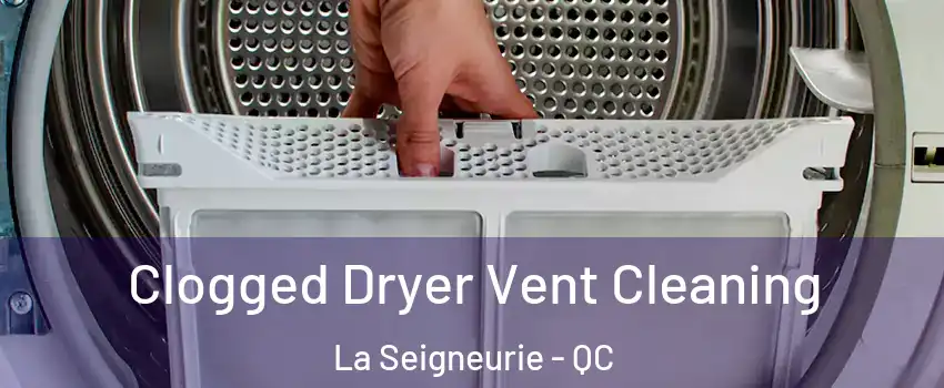  Clogged Dryer Vent Cleaning La Seigneurie - QC