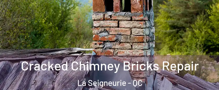  Cracked Chimney Bricks Repair La Seigneurie - QC