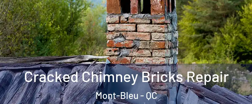 Cracked Chimney Bricks Repair Mont-Bleu - QC
