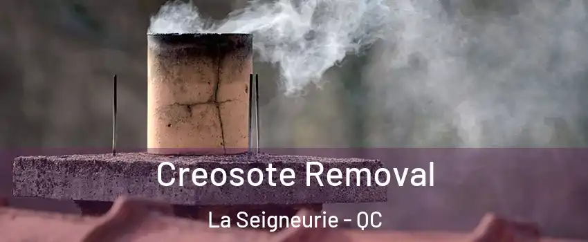  Creosote Removal La Seigneurie - QC