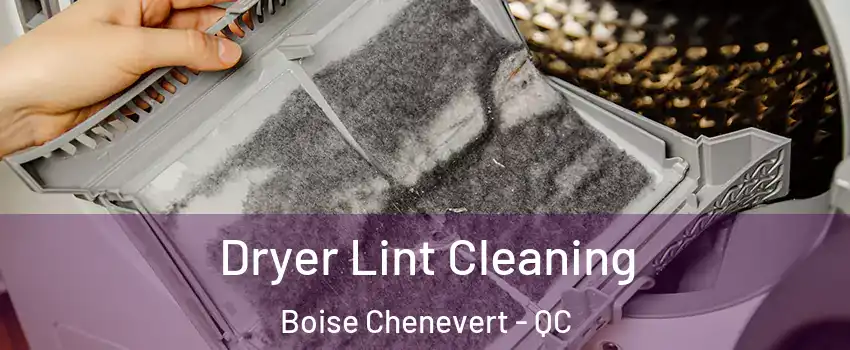  Dryer Lint Cleaning Boise Chenevert - QC